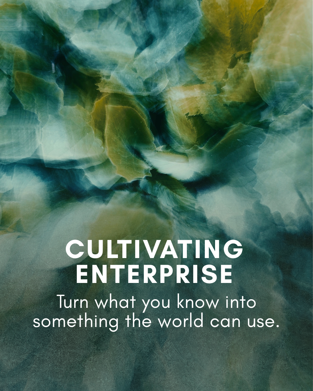 Cultivating Enterprise — turn what you know into something the world can use.
