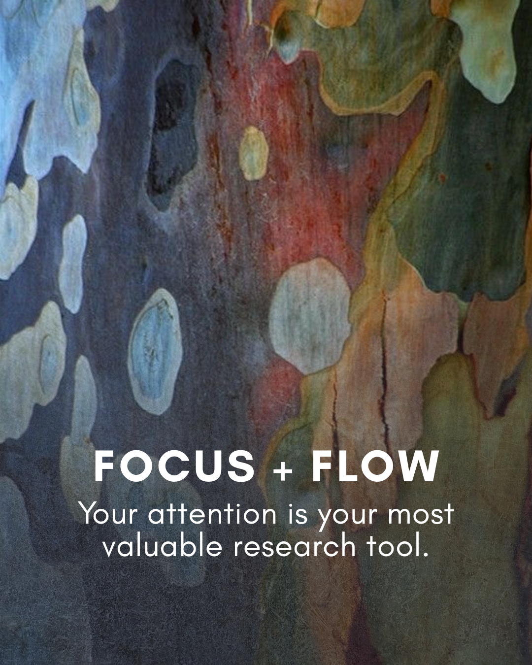Focus and Flow — your attention is your most valuable research tool.